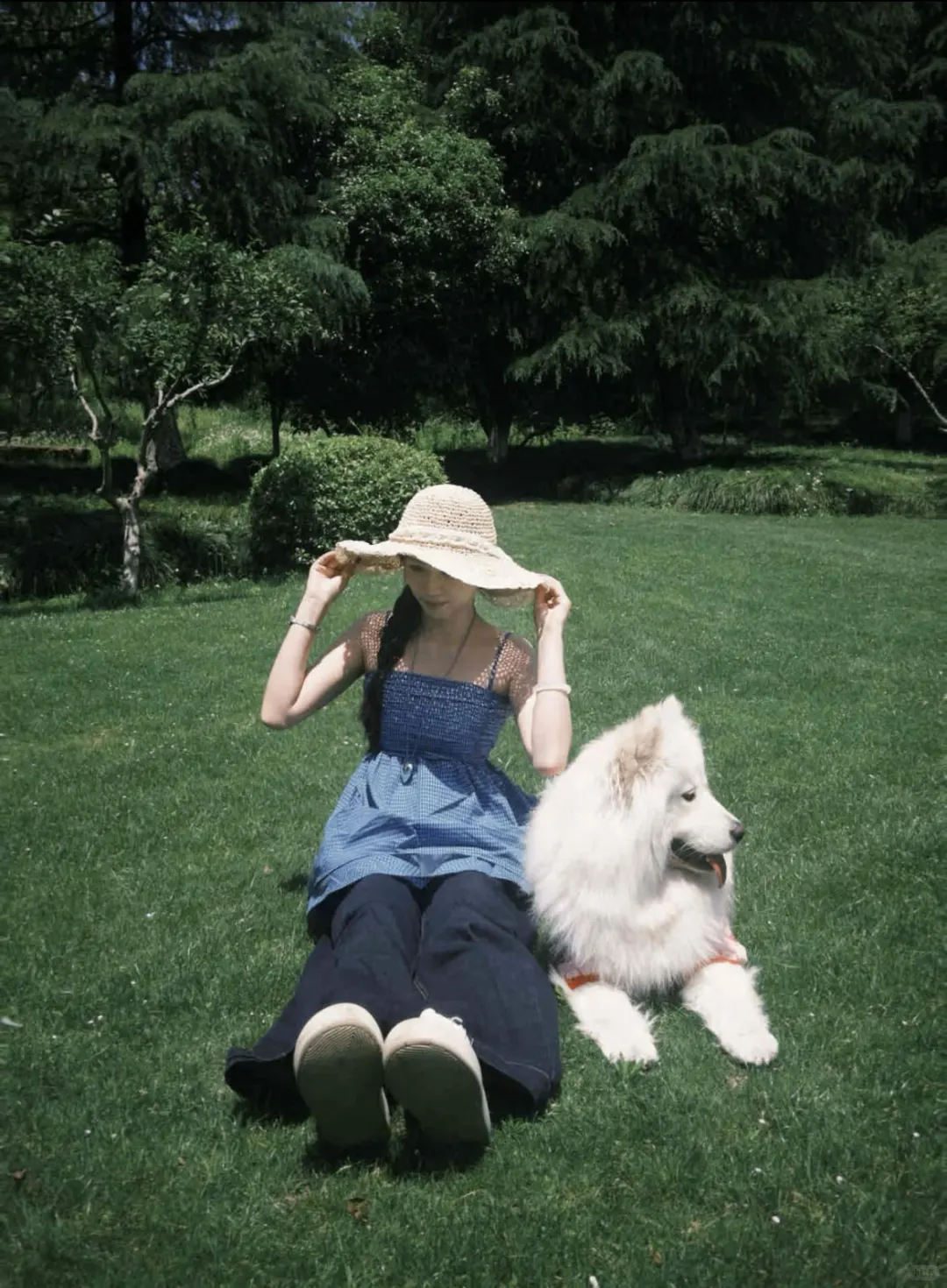 iOS有福了！Dazz会员免费版终于来了！！