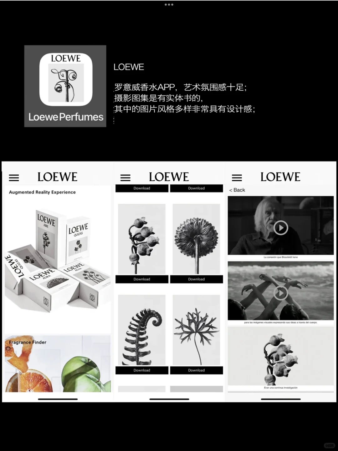 高级感｜设计师/博主-素材APP分享