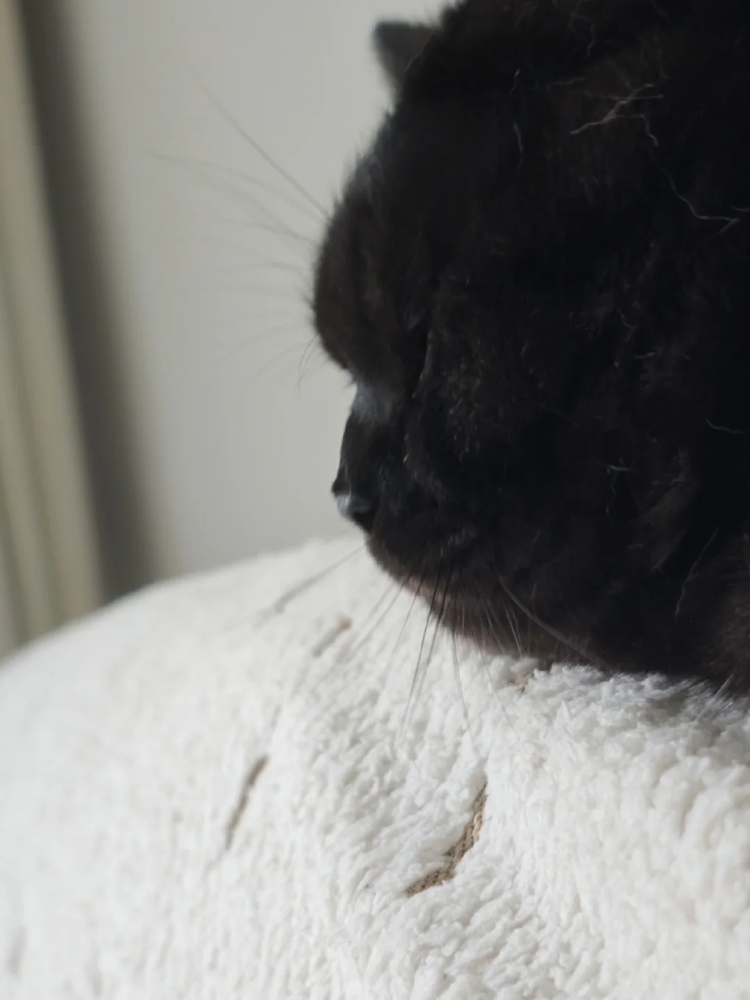 27 玩小游戏真的伤害大脑