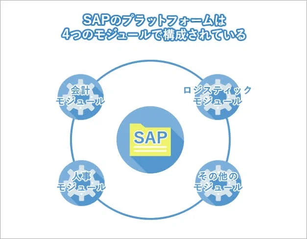 IT？SAP？咨询？