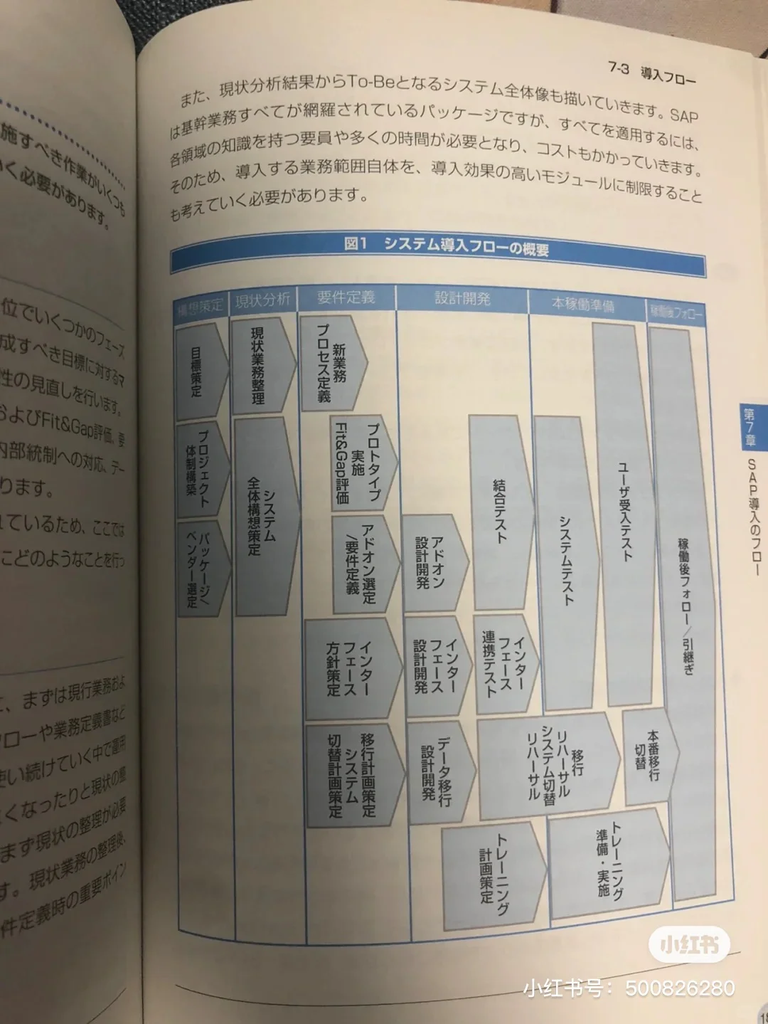 IT？SAP？咨询？