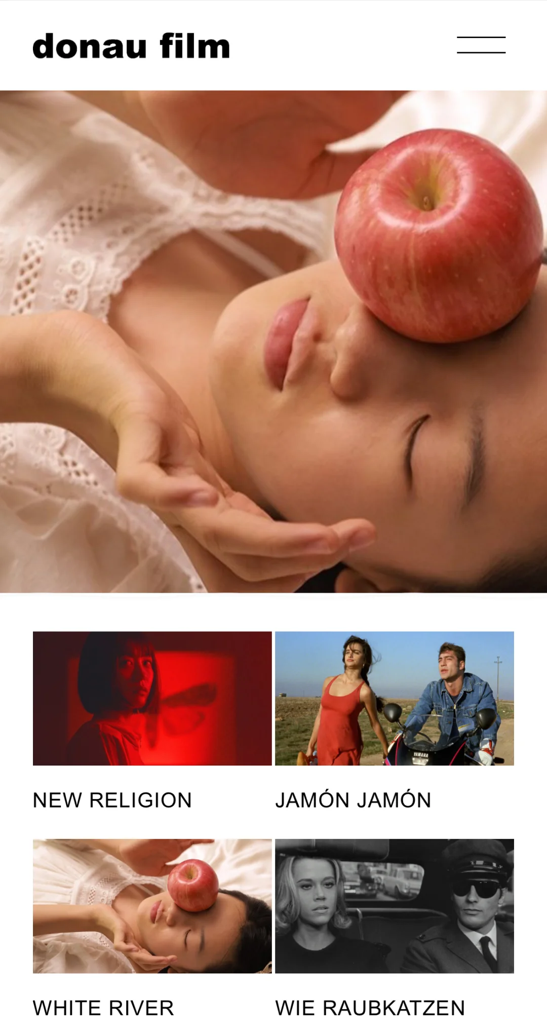 德国奥地利发行了我的电影