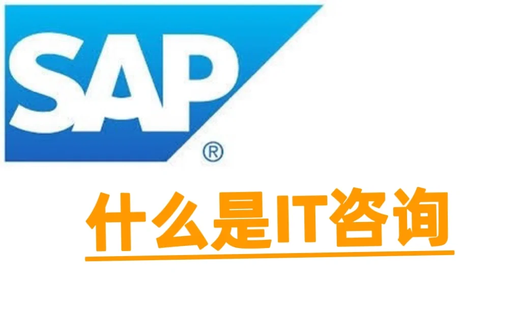 IT？SAP？咨询？