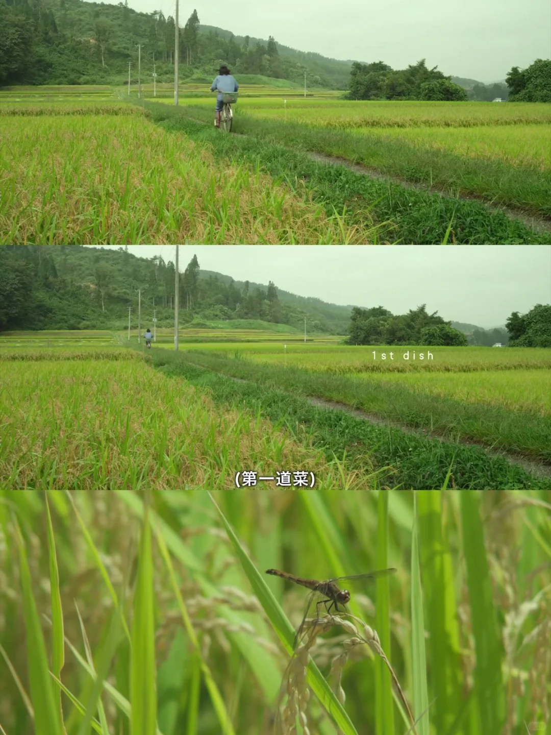 90%都不知道的宝藏追剧app，你用过几个？