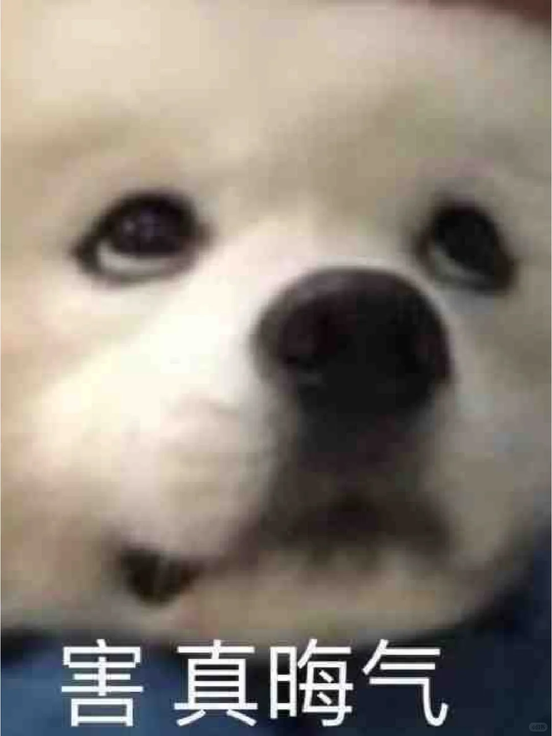 千万别去商务信息咨询公司！！快跑！！