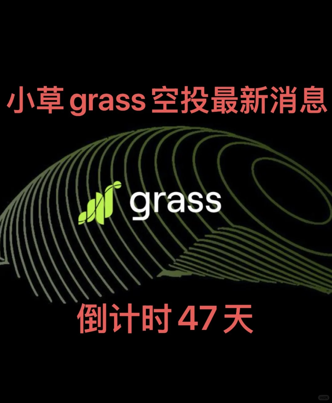 小草grass最新空投消息