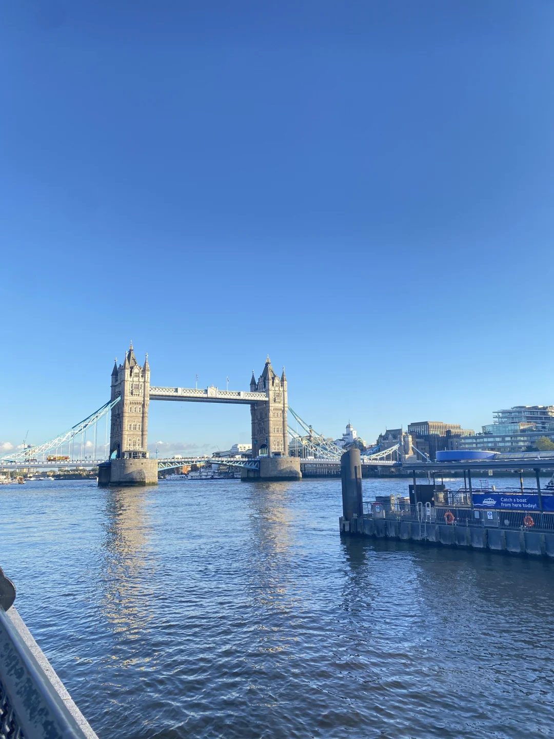 职场人最难的不是学习英语，是✊坚持学英语📑