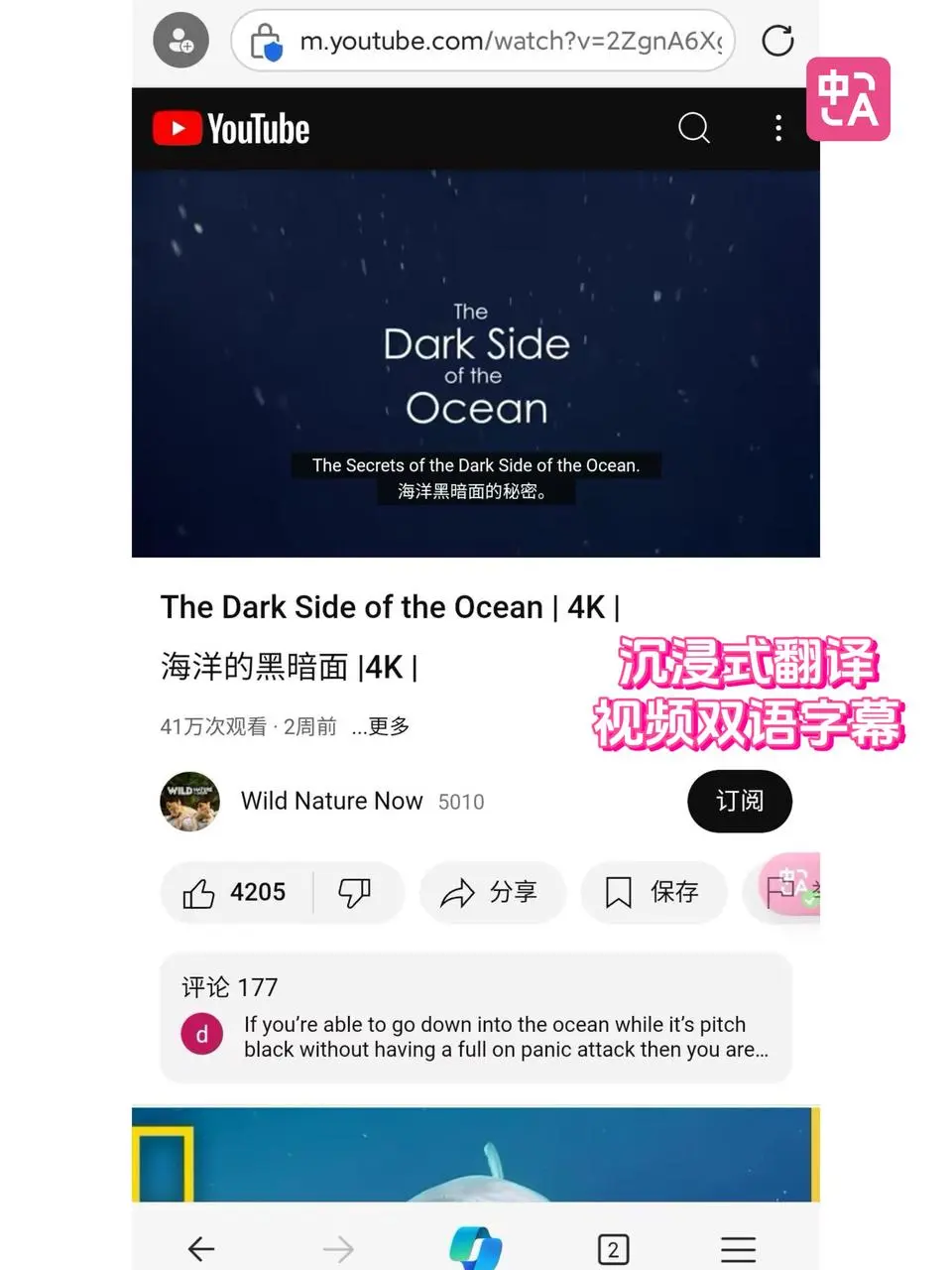 edge浏览器宝藏插件来啦！沉浸式翻译