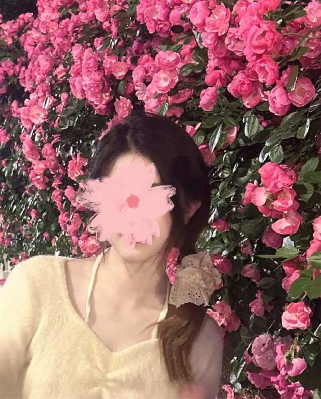 盐城捞人！社会学实验_牵手红娘避坑