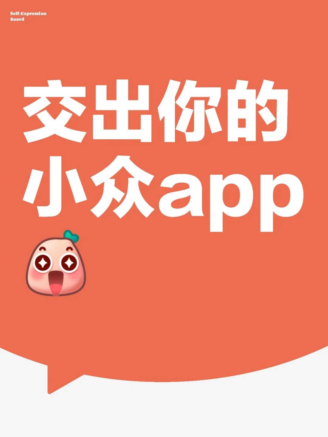 有什么比较小众的app