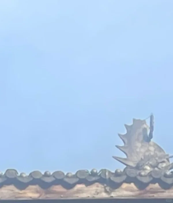 咨询公司是提供咨询的吗？并不是。