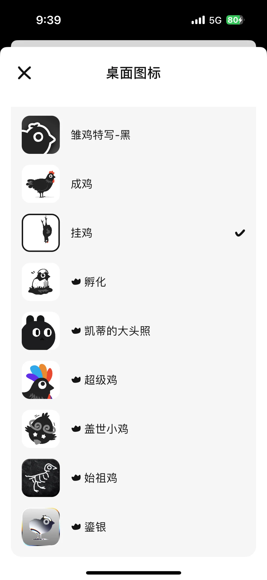 容易分心的人来养小鸡