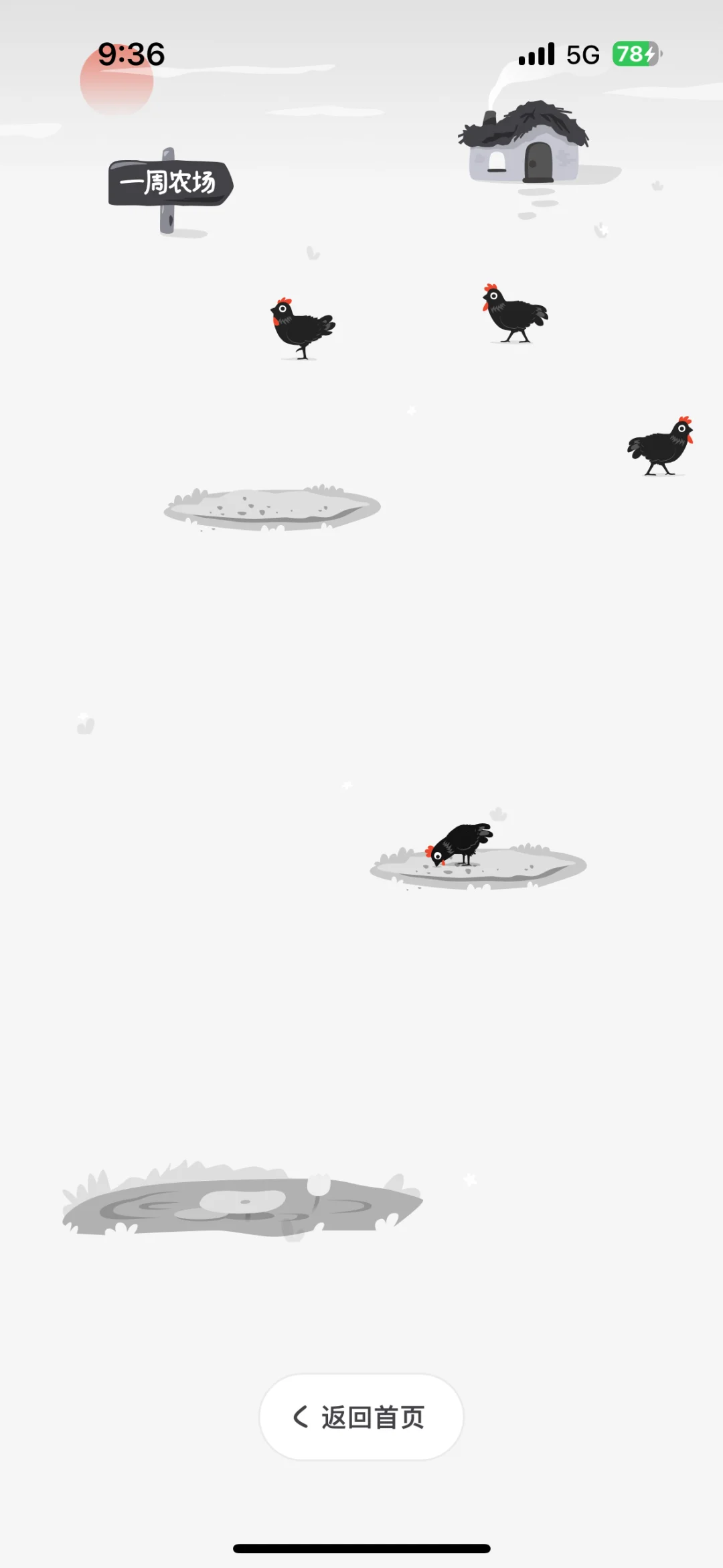 容易分心的人来养小鸡