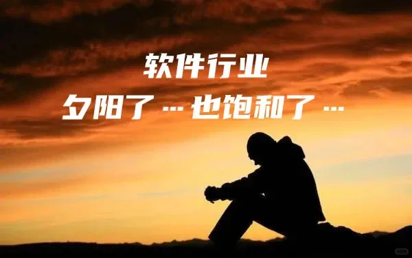 中小软件正在批量退出市场，软件开发怎么办？