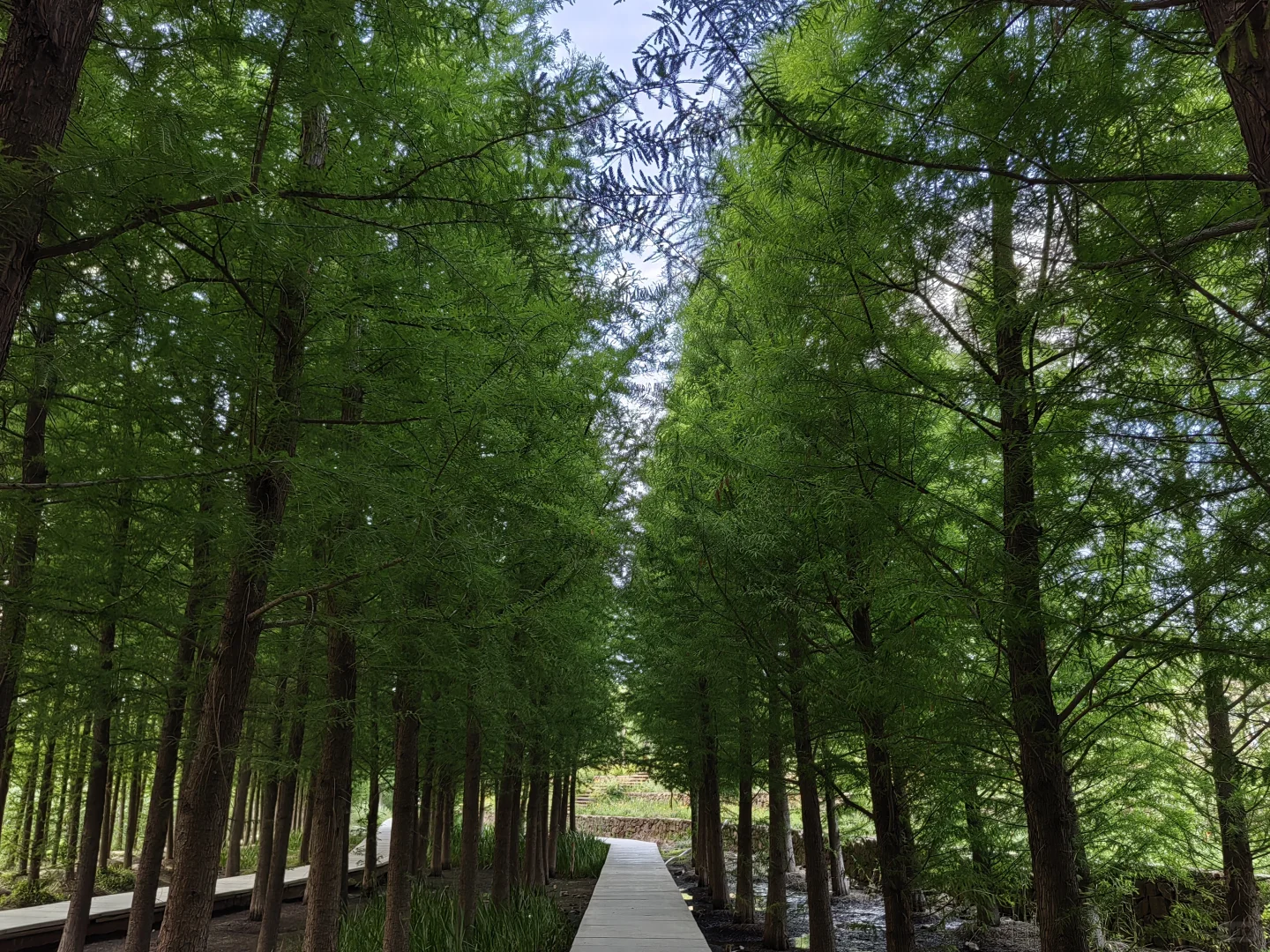 大家有什么免费看剧的app吗？