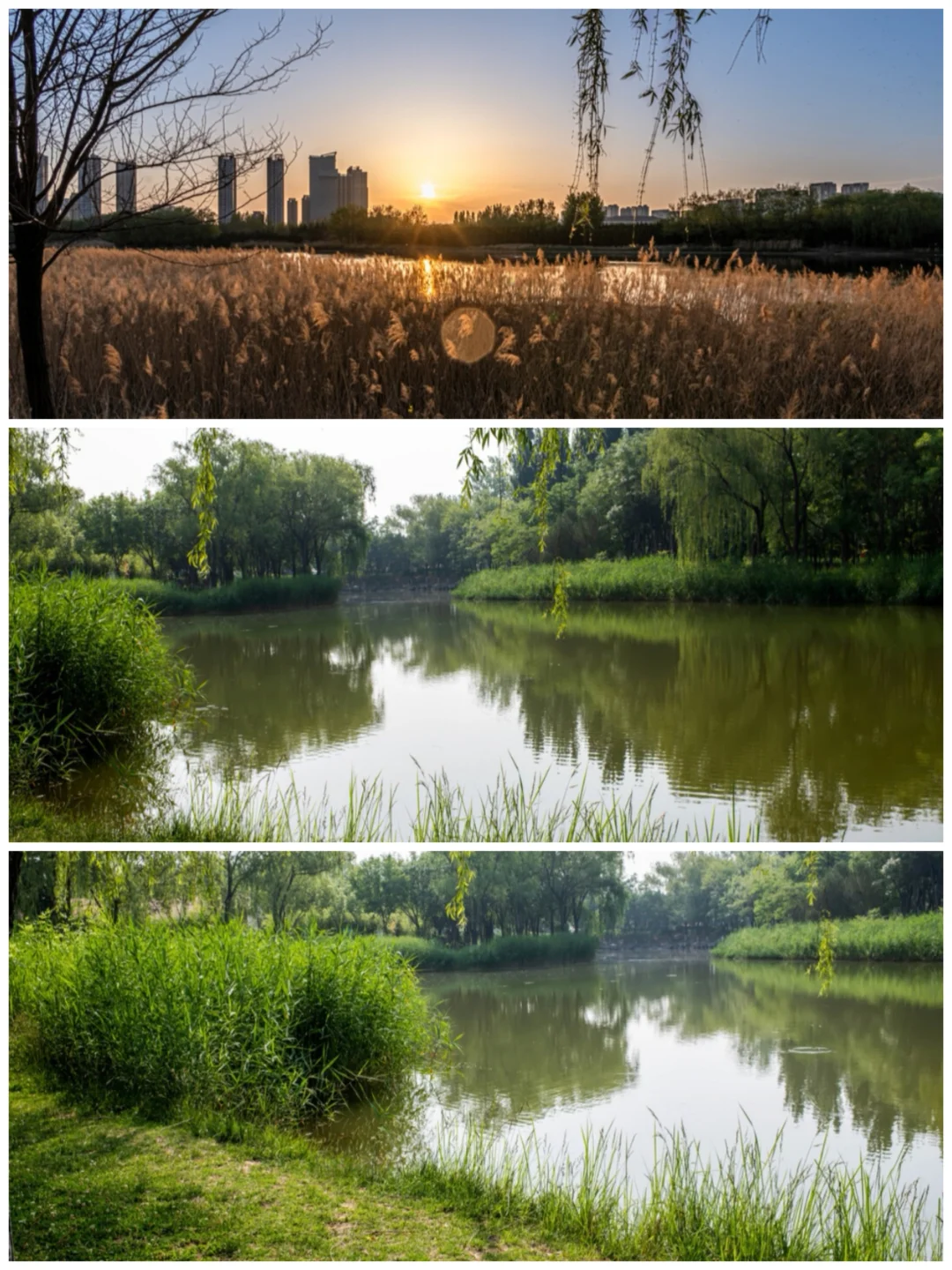 Dazz相机功能解锁！！！