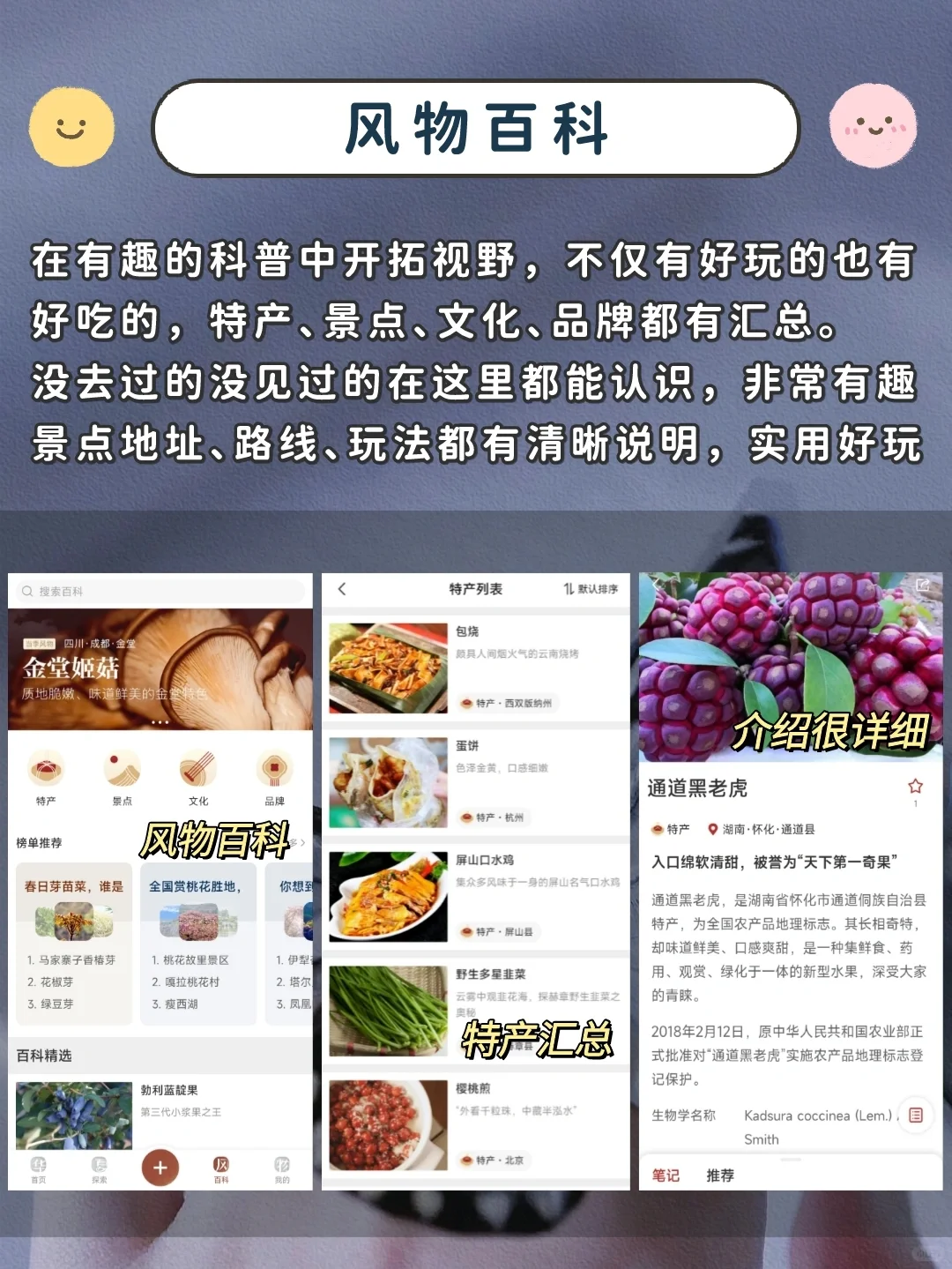 居家云旅行必备神仙APP✨传统文化太迷人了