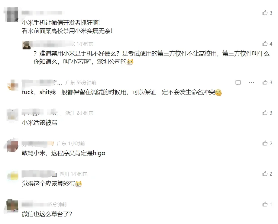 来自程序猿的报复？