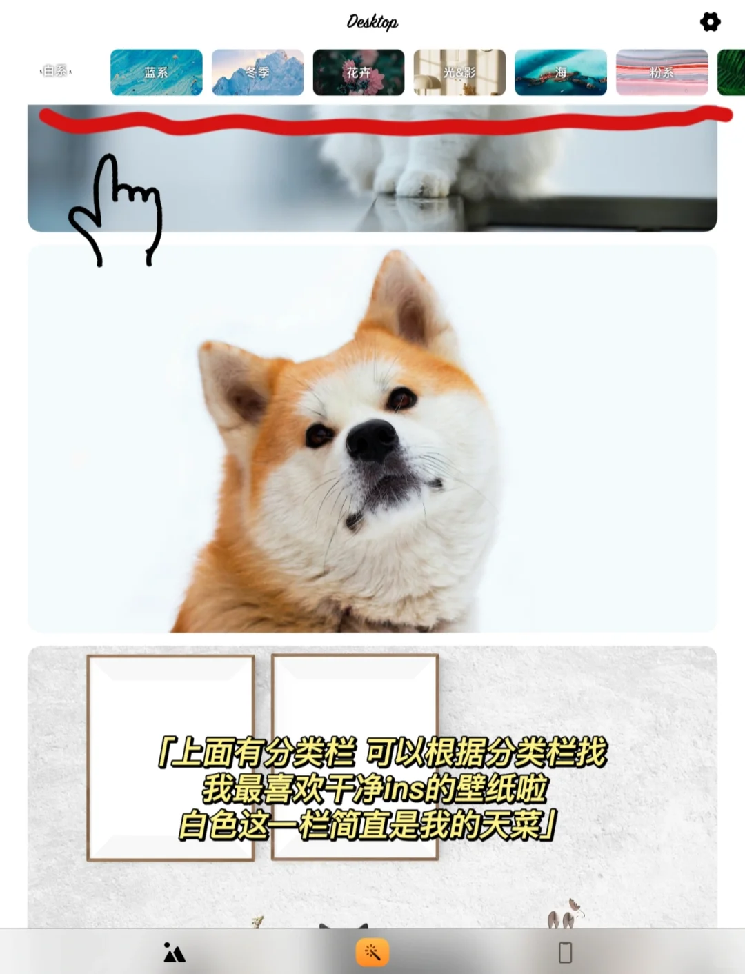 宝藏APP分享:超好用的iPad/电脑壁纸软件