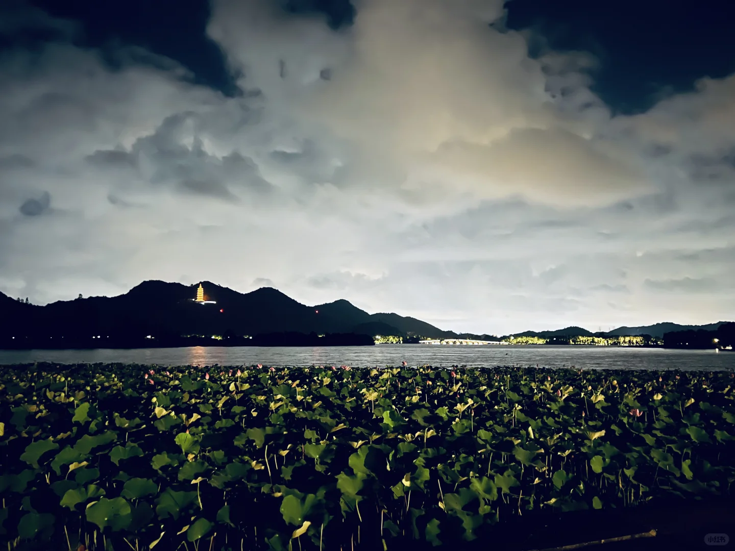 有没有做开发app 小程序 公众号的小伙伴！