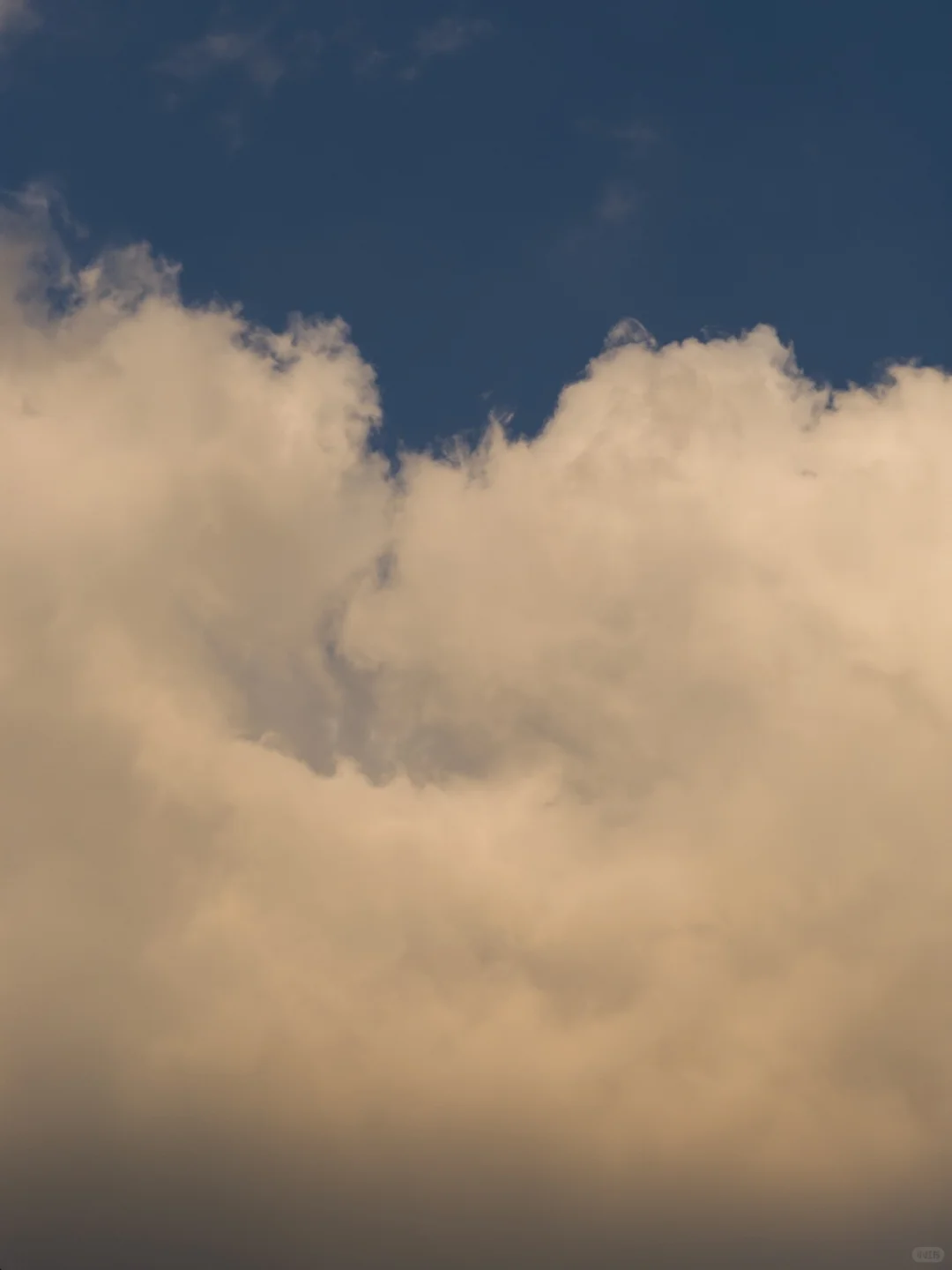 苹果手机拍照必备软件