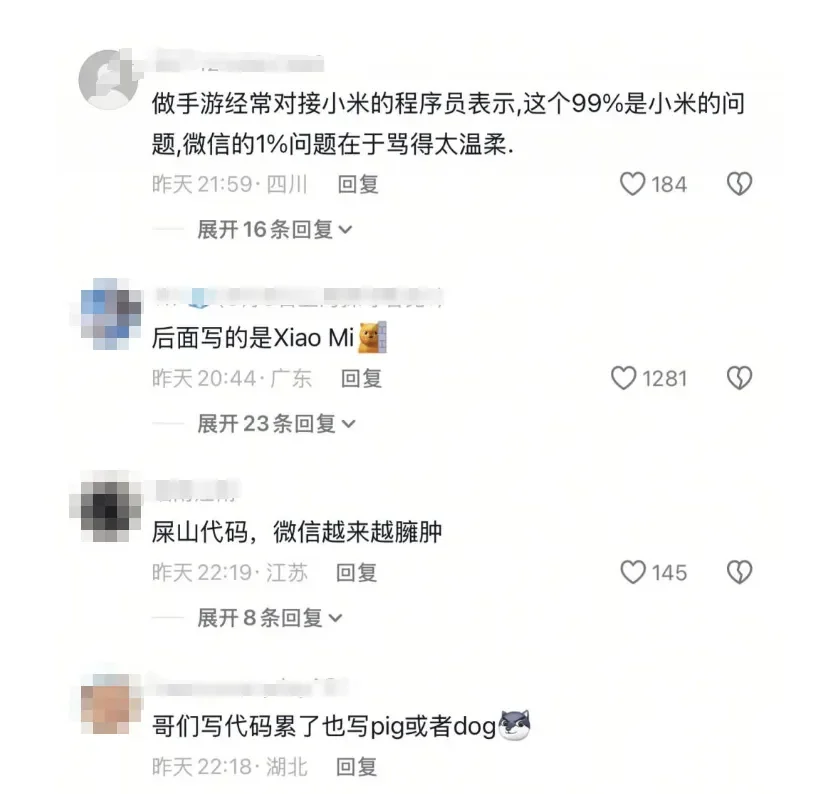 来自程序猿的报复？