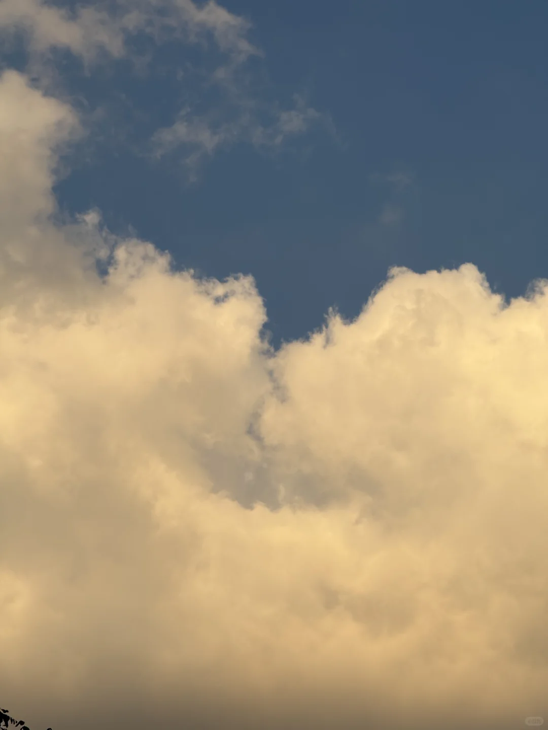 苹果手机拍照必备软件