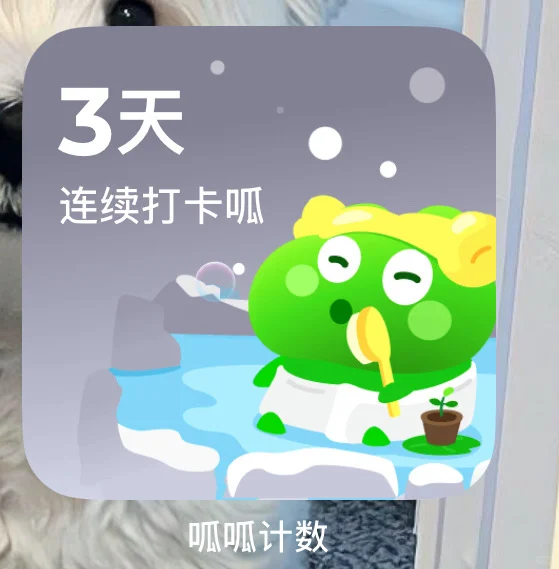 呱呱计数你！！！