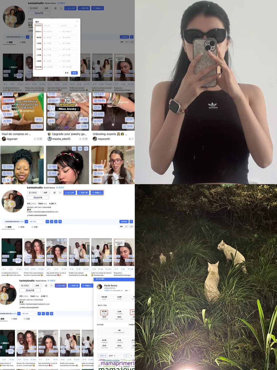 月入1w海外kol运营｜揭秘好用作弊神器✅