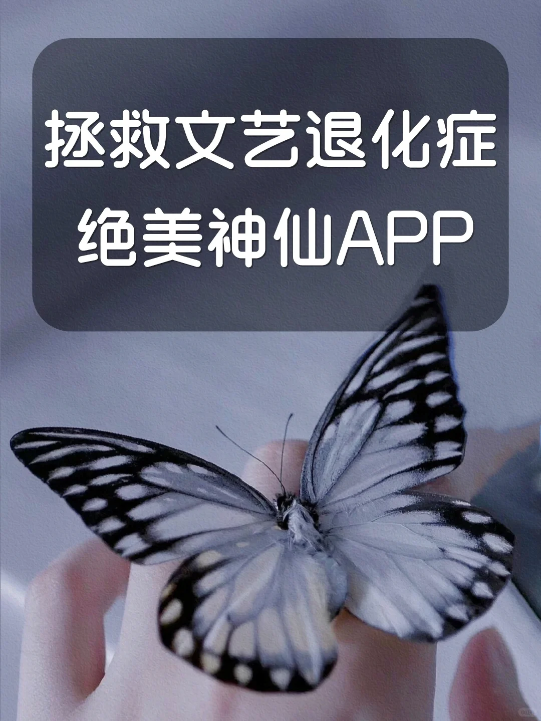 居家云旅行必备神仙APP✨传统文化太迷人了