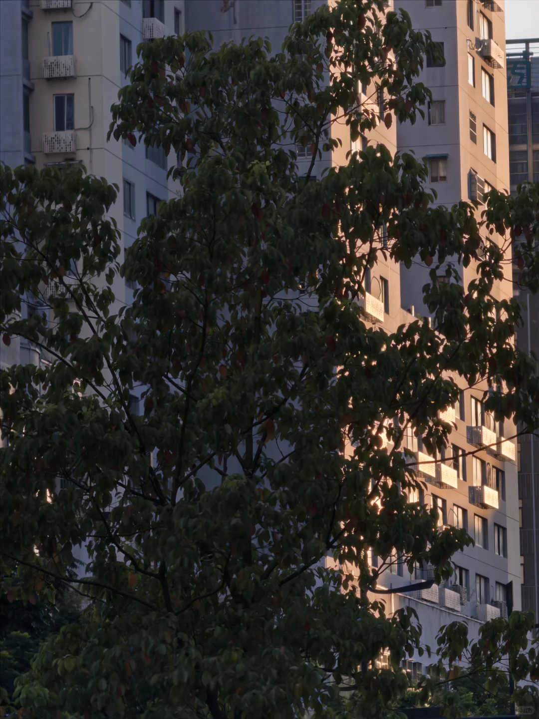 苹果手机拍照必备软件