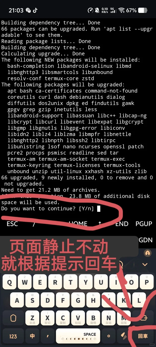 酒馆搭建配置の宝宝级教程