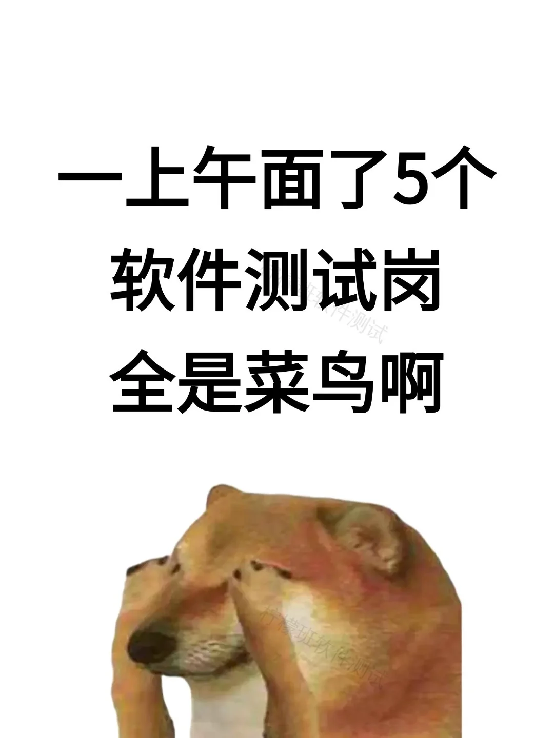 一上午面了5个软件测试岗，全是菜鸟啊！