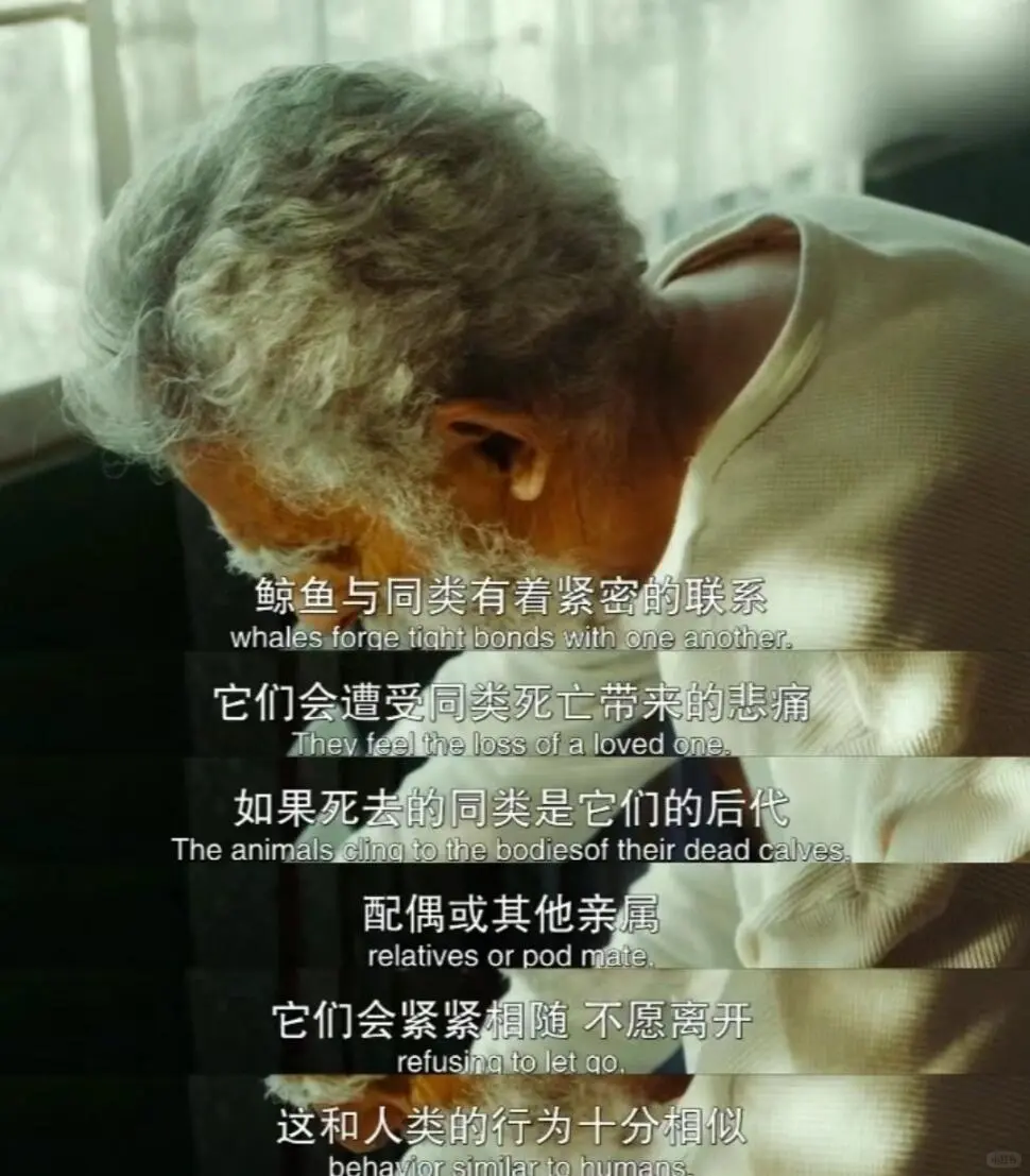 向全世界安利这部后劲最大的电影😭没有之一