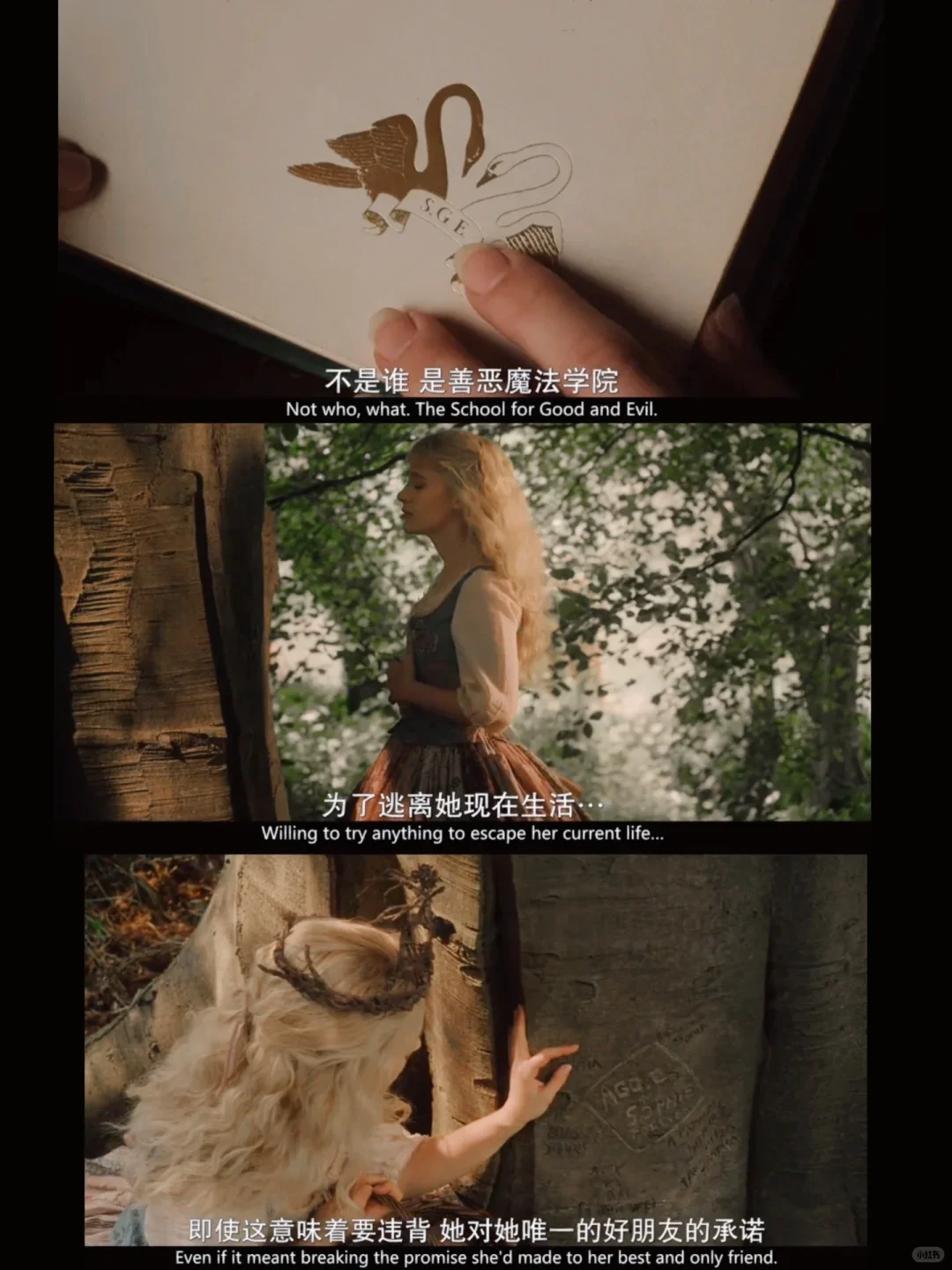 🆘神仙阵容❗️Netflix大型奇幻电影❗️