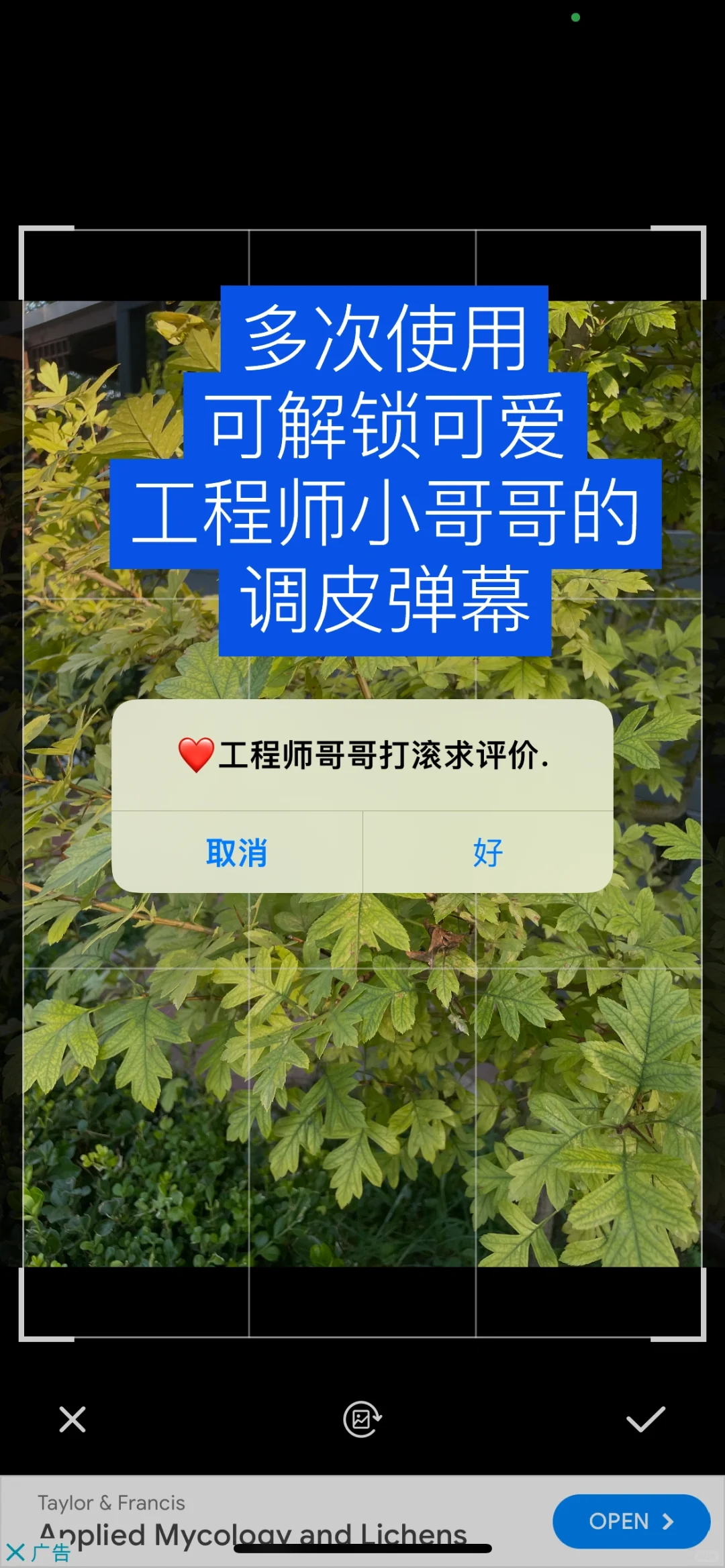实测｜植物识别app（二）