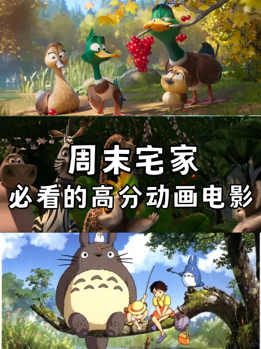 周末宅家必看的高分动画电影🎬、拯救不开心