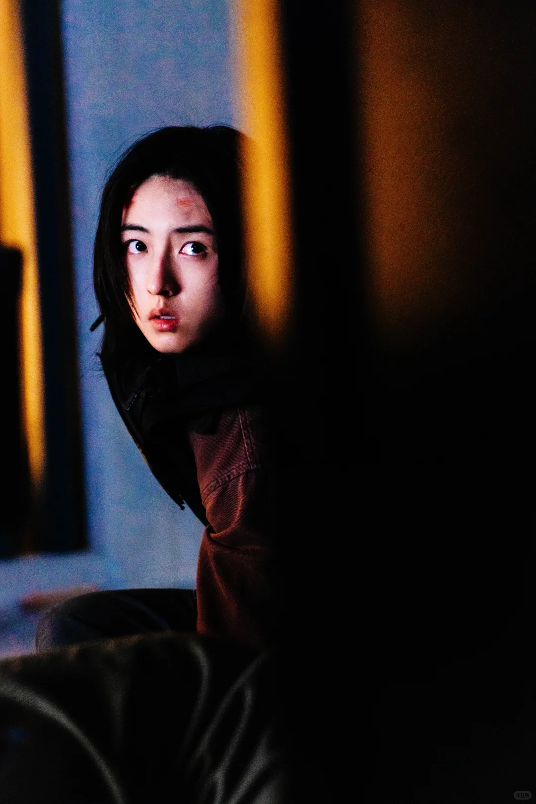 🎬《捕风追影》8/22北美上映｜看完值得二刷！！！