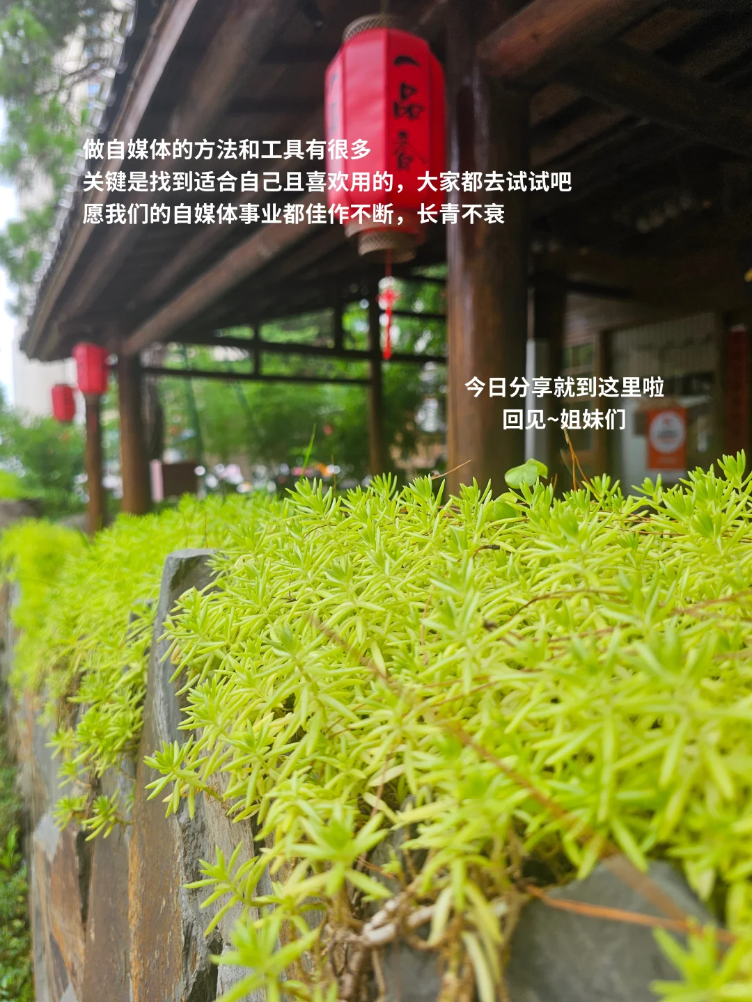 plog｜小红书做不起来，这9款工具直接来抄