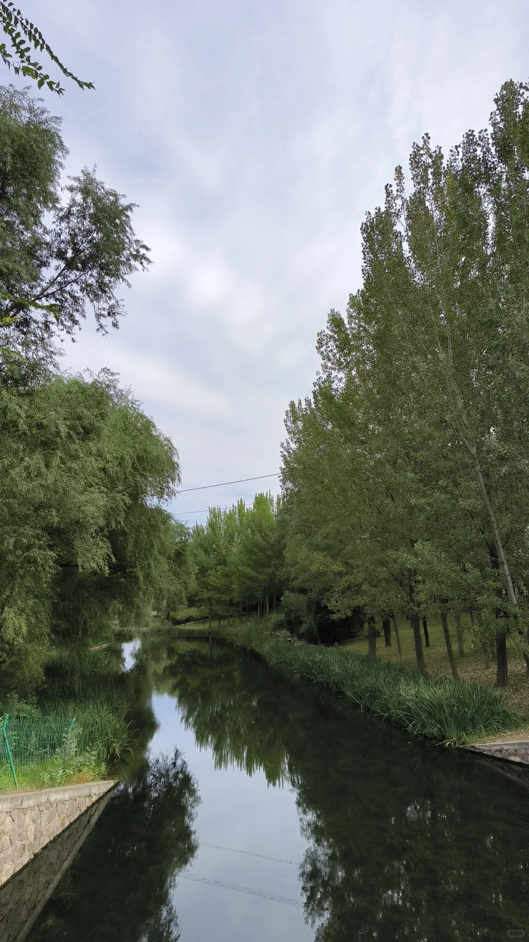 推荐几个靠谱的免费低价心理咨询渠道