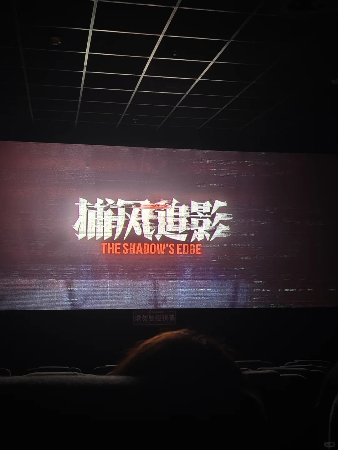 《捕风追影》的真实观感