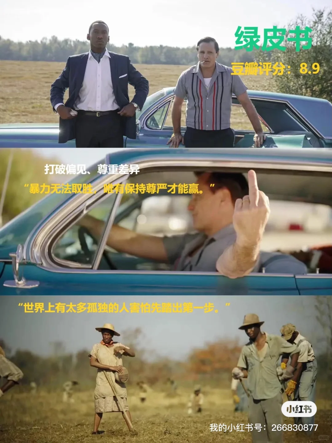 治愈系电影推荐，看完心情瞬间变好