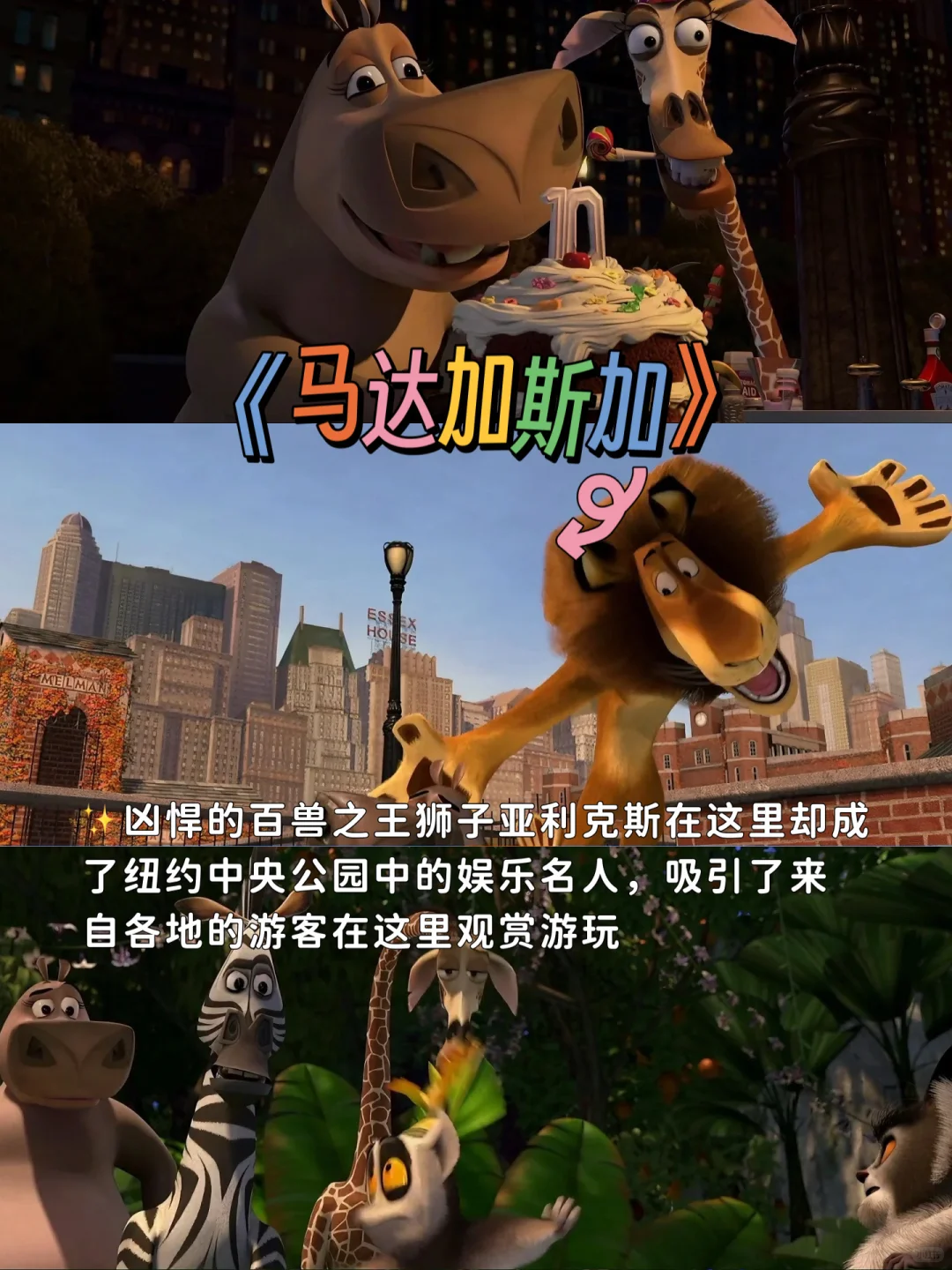 周末宅家必看的高分动画电影🎬、拯救不开心