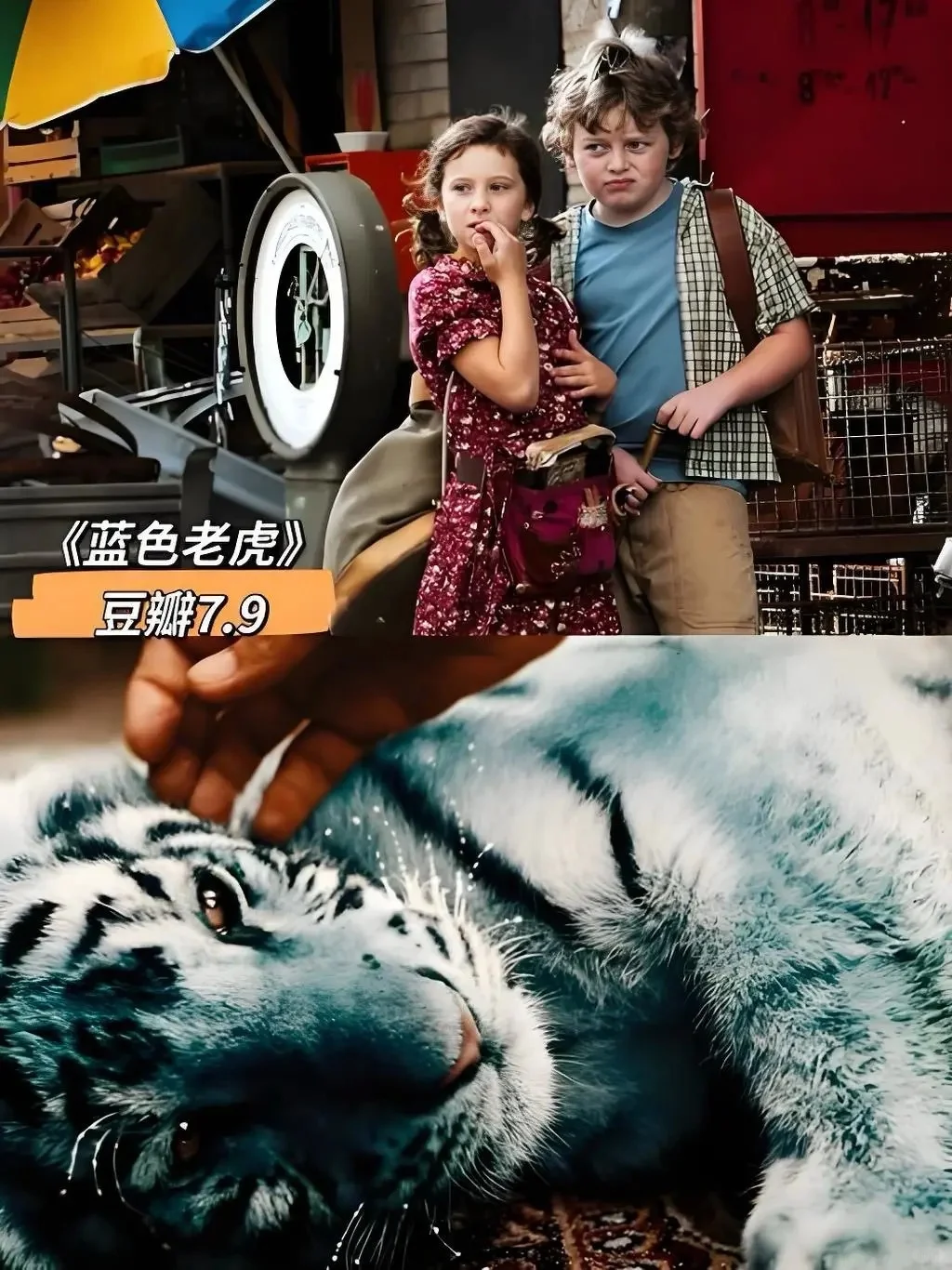 暑假陪孩子一起看的10部电影