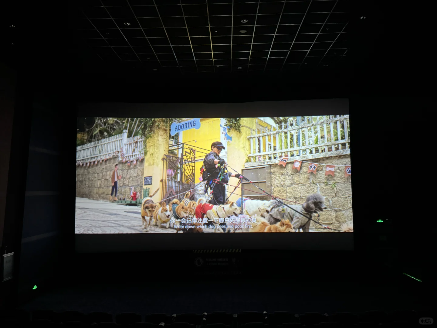 我真的超爱❤️