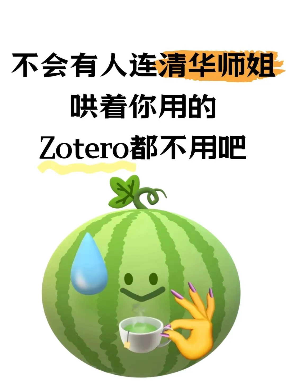 清华师姐哄着你用的9个zotero必用插件