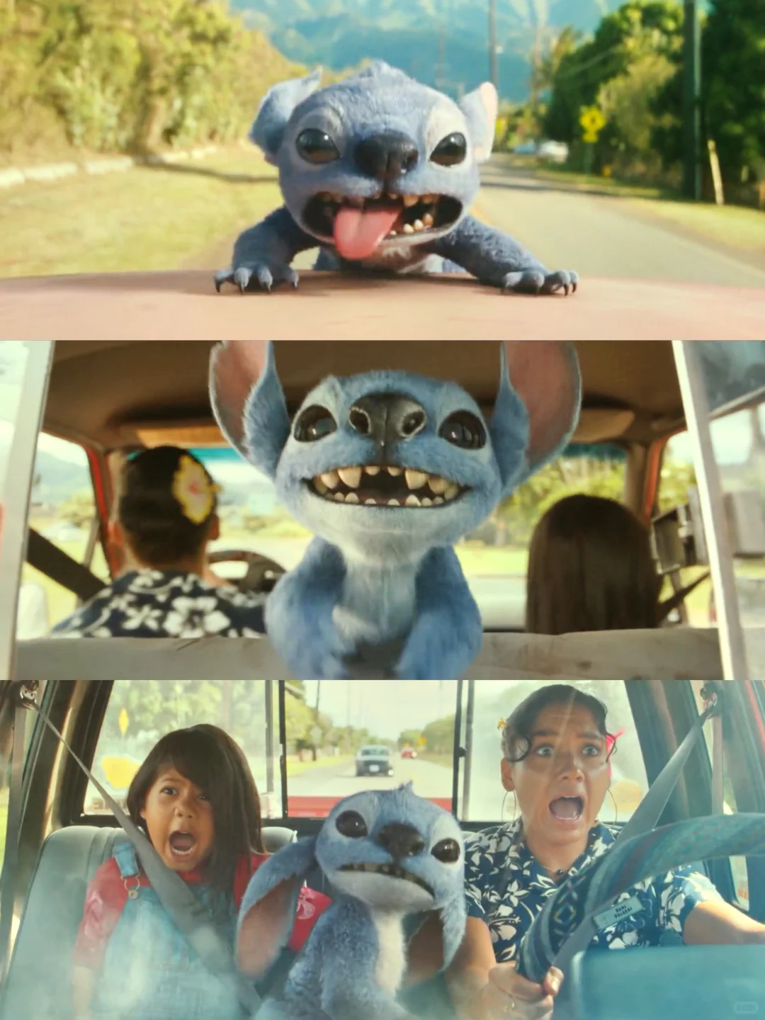 这才是迪士尼真人动画电影应有的水准！