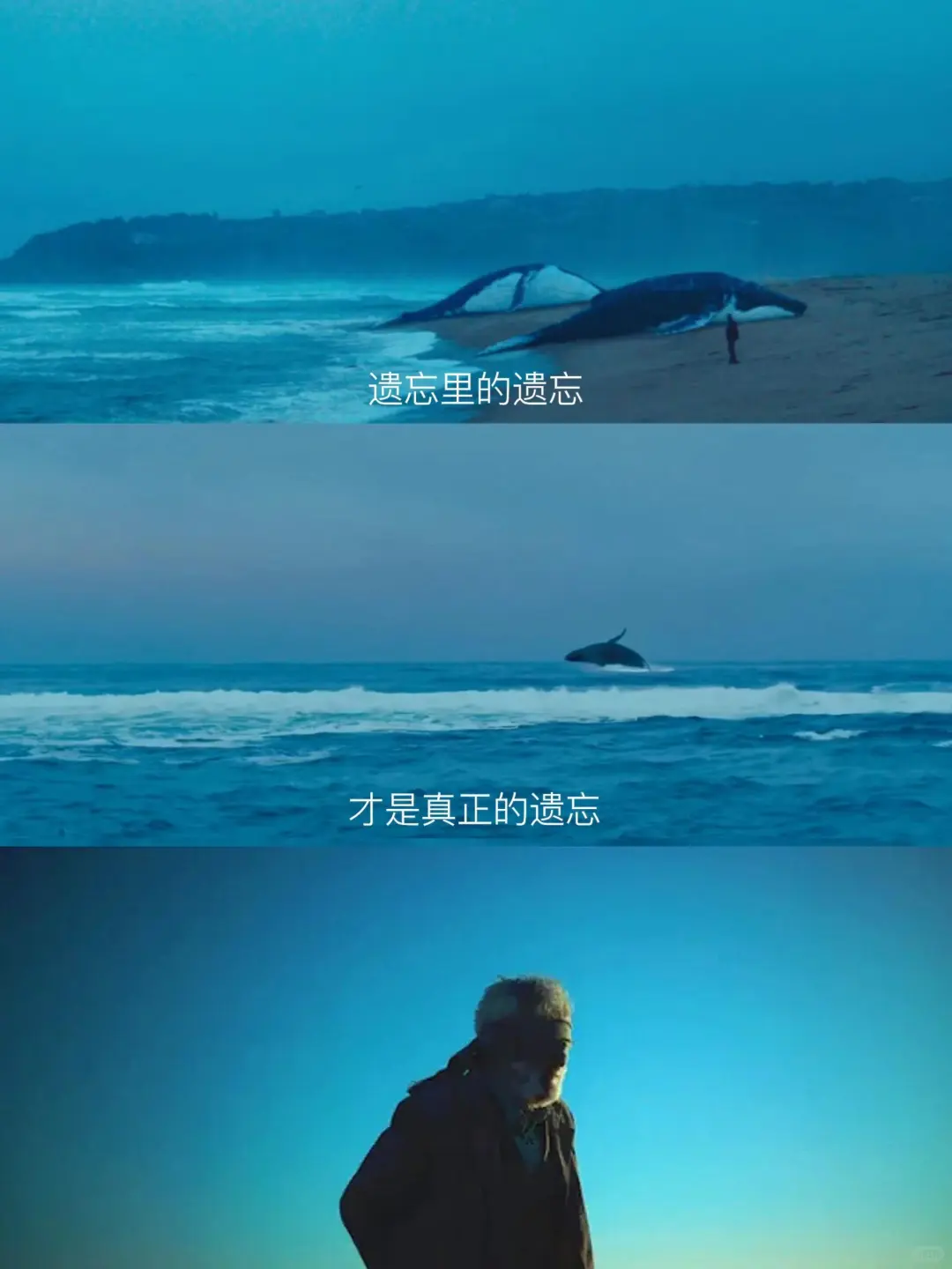 向全世界安利这部后劲最大的电影😭没有之一