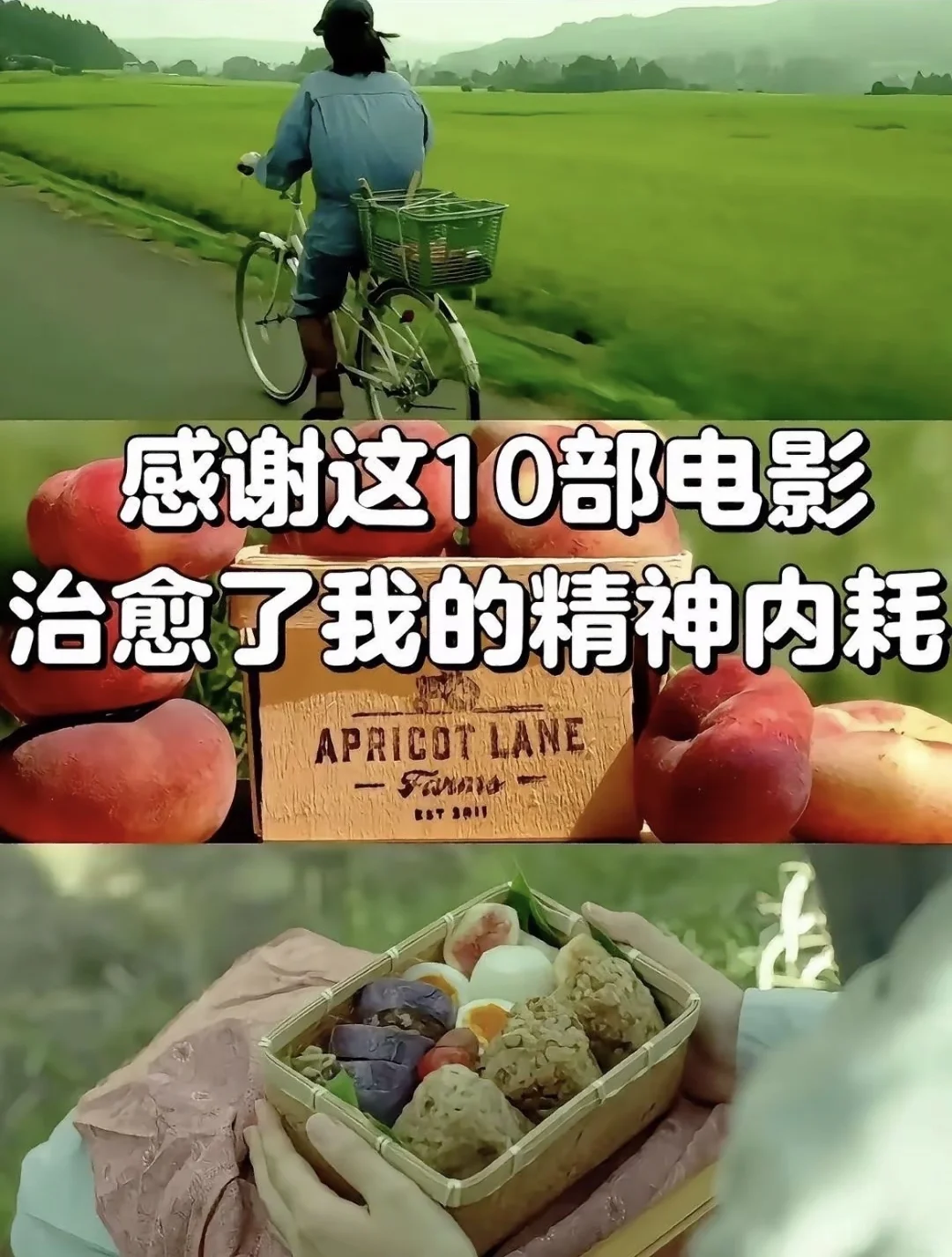 治愈系电影推荐，看完心情瞬间变好