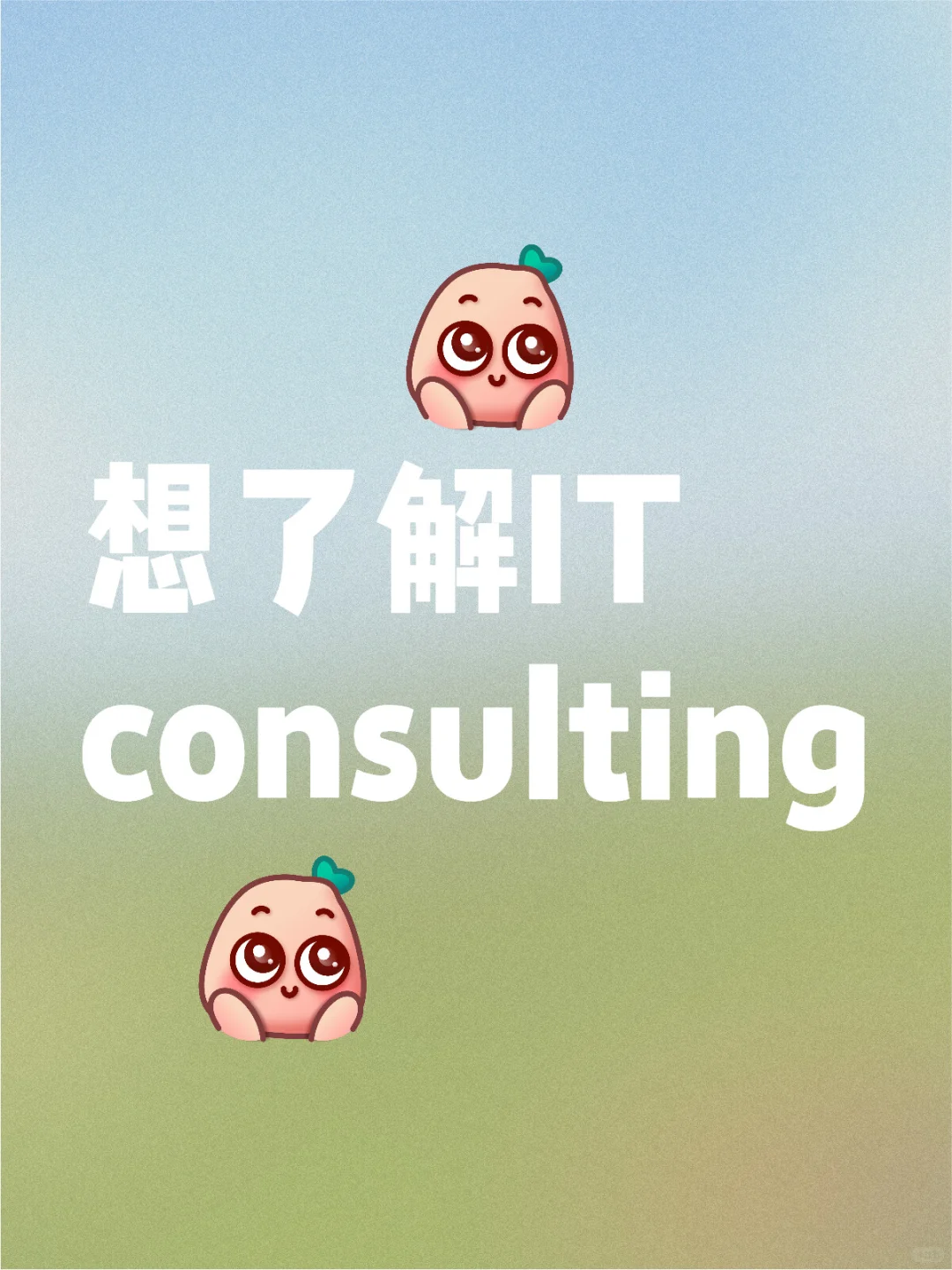 想了解IT consulting